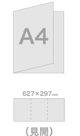 A4 6p ptbg